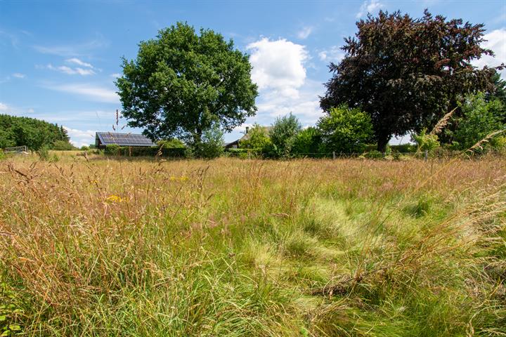 building land for buy 0 room 0 m² paliseul photo 1