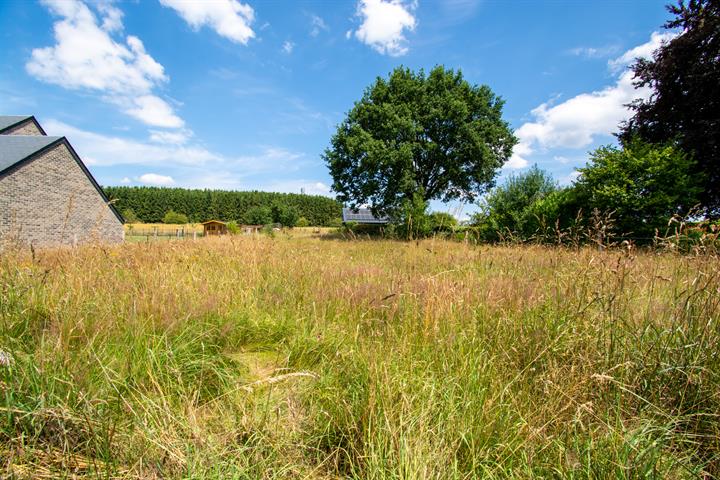 building land for buy 0 room 0 m² paliseul photo 4