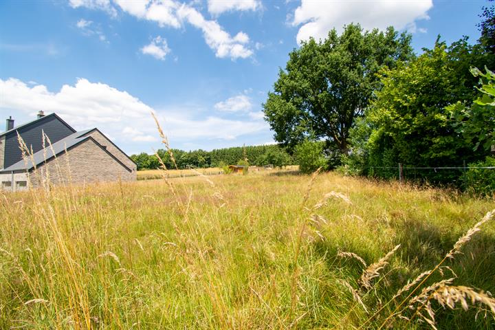 building land for buy 0 room 0 m² paliseul photo 3