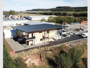 Büro zum Kauf in Mertzig - Ref. 7057346