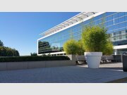 Bureau à louer à Capellen - Réf. 6853842