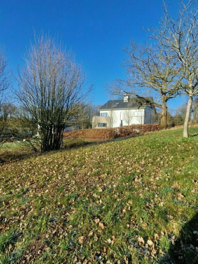 Terrain constructible