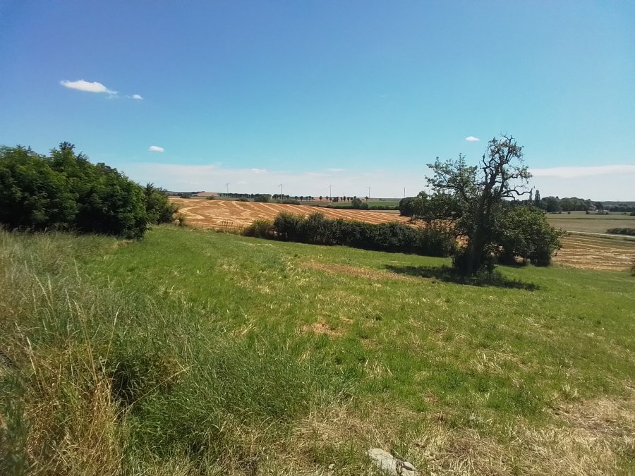 Terrain constructible à vendre à Rémilly