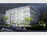 Bureau à louer à Luxembourg-Centre ville - Réf. 7103474