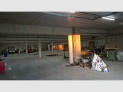 Entrepôt à louer à Troisvierges - Réf. 6671875