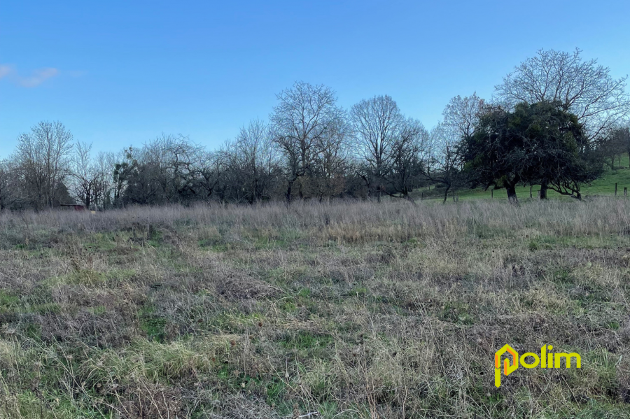 Terrain constructible