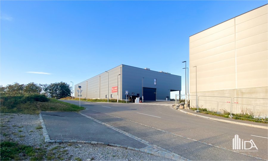 Entrepôt à louer Flatzbour