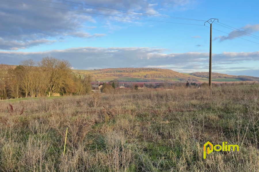 Terrain constructible