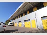 Entrepôt à louer à Mamer - Réf. 6479171