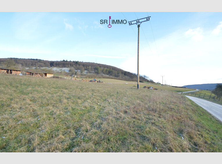 Maison à vendre 11 Pièces à Peffingen (DE) - Réf. 7115363