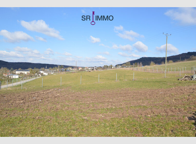 Maison à vendre 11 Pièces à Peffingen (DE) - Réf. 7115363