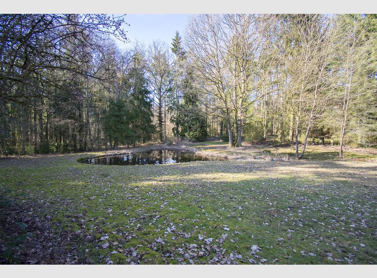 Villa zur Miete 5 Zimmer in Graulinster (LU) - Ref. 6884707
