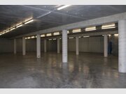 Entrepôt à louer à Mersch - Réf. 7135075