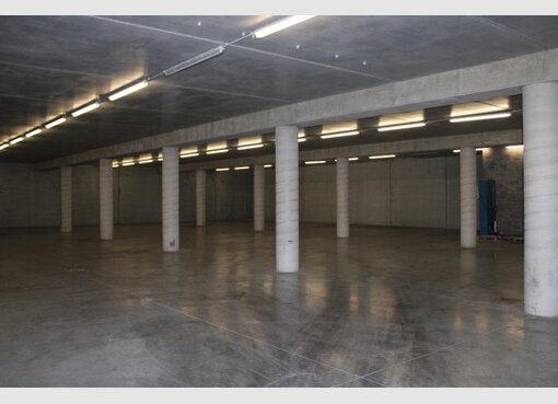 Entrepôt à louer à Mersch - Réf. 7135075