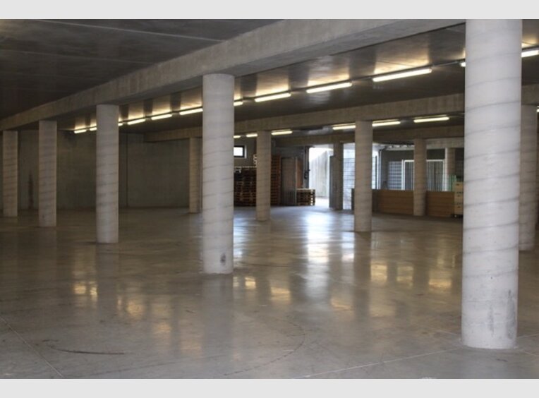 Entrepôt à louer à Mersch - Réf. 7135075