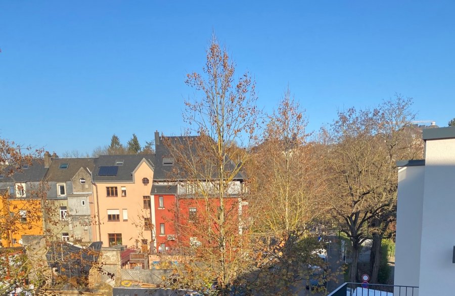 Appartement à louer 1 chambre à Luxembourg-Hollerich