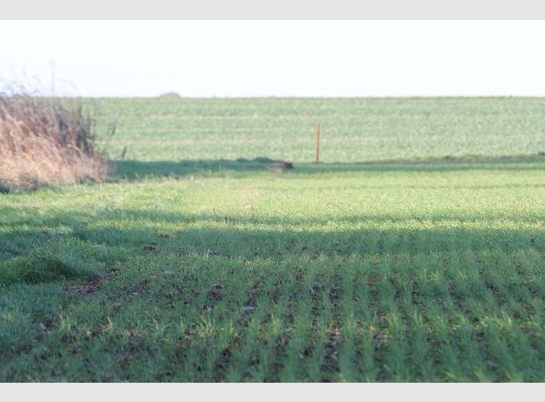 Terrain constructible à vendre à Beuvillers (FR) - Réf. 4169891