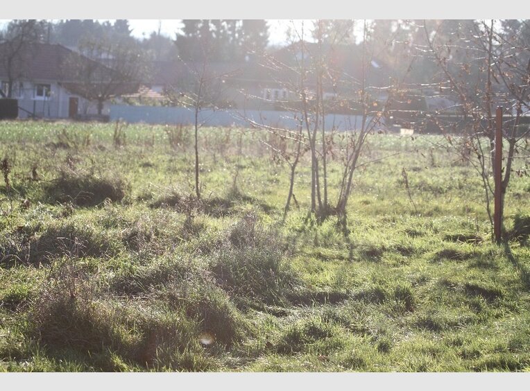 Terrain constructible à vendre à Beuvillers (FR) - Réf. 4169891