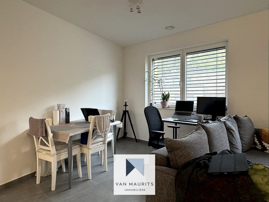 Appartement à louer 1 chambre à Luxembourg-Rollingergrund