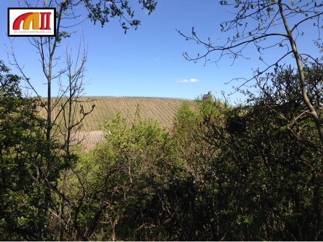 TERRAIN - WORMELDANGE-HAUT