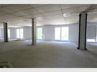 Bureau à louer à Wemperhardt - Réf. 7006724