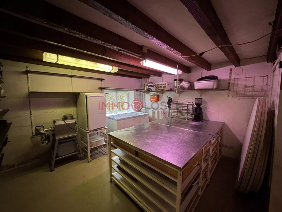 Immeuble de rapport à louer 4 chambres à Mamer