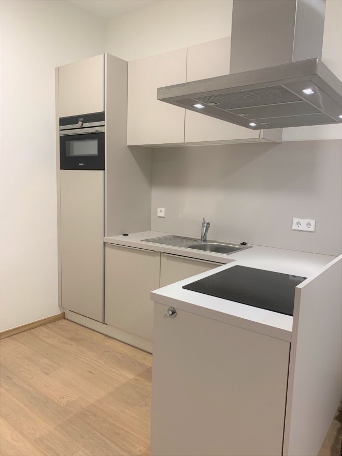Appartement à louer 1 chambre à Luxembourg-Centre ville