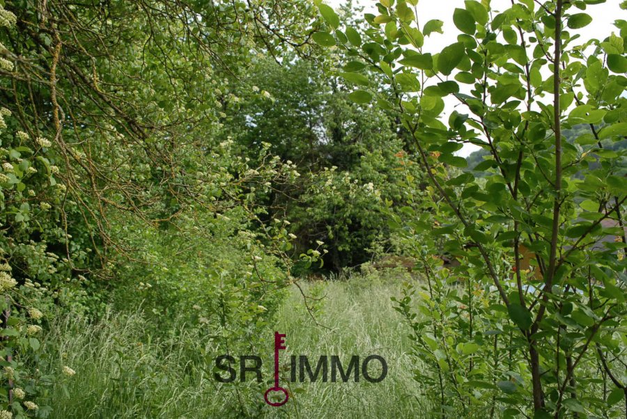 Terrain constructible à vendre à Wallendorf