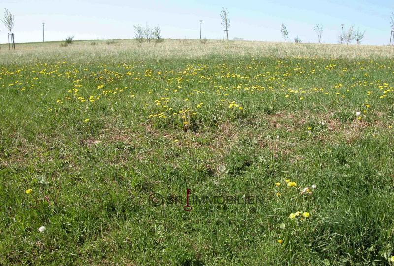 Terrain constructible