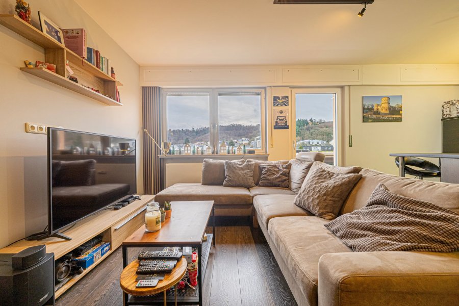 Apartment in Schifflange - View 4