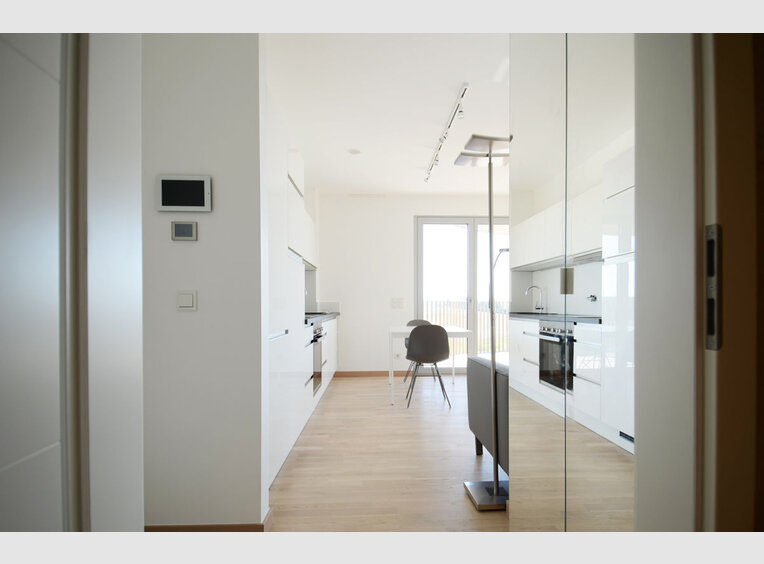Apartment for rent 1 bedroom in Luxembourg (LU) - Ref. 6902196