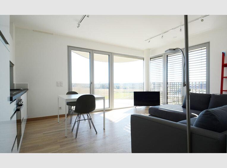 Apartment for rent 1 bedroom in Luxembourg (LU) - Ref. 6902196
