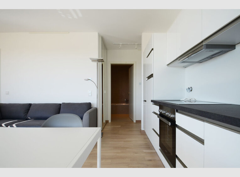 Apartment for rent 1 bedroom in Luxembourg (LU) - Ref. 6902196