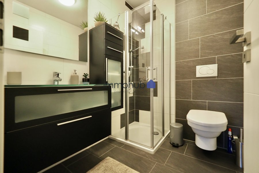 Appartement à louer 1 chambre à Esch-sur-Alzette