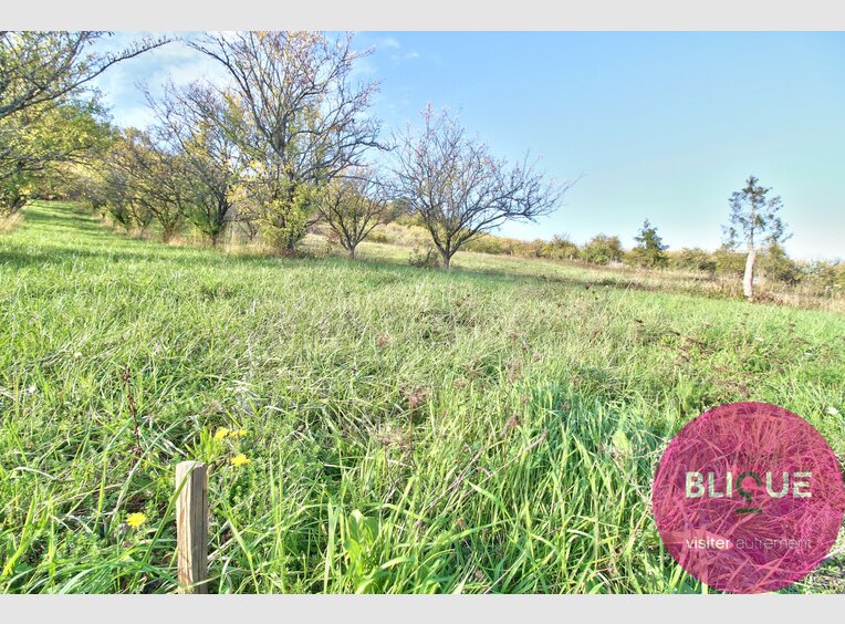 Terrain constructible à vendre à Bruley - Réf. 7125845