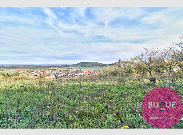 Terrain constructible à vendre à Bruley - Réf. 7125845