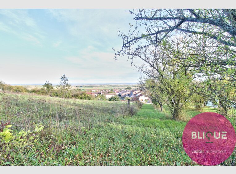 Terrain constructible à vendre à Bruley - Réf. 7125845