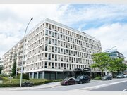 Bureau à louer à Luxembourg-Centre ville - Réf. 6549637