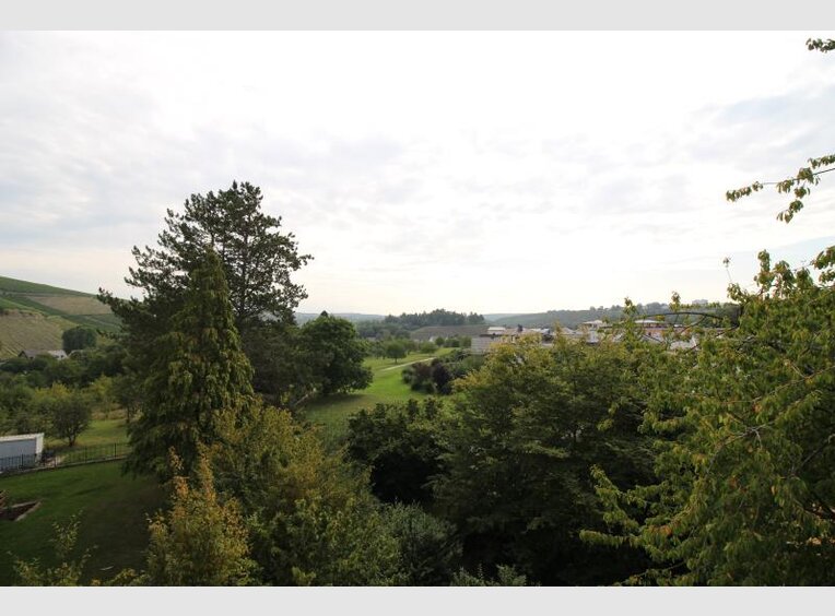 Wohnung zum Kauf 3 Zimmer in Trier (DE) - Ref. 6900357