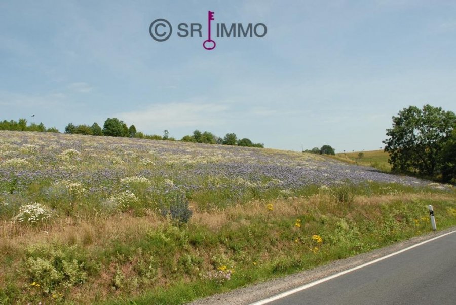 Terrain constructible