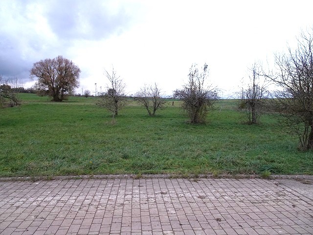 Terrain constructible