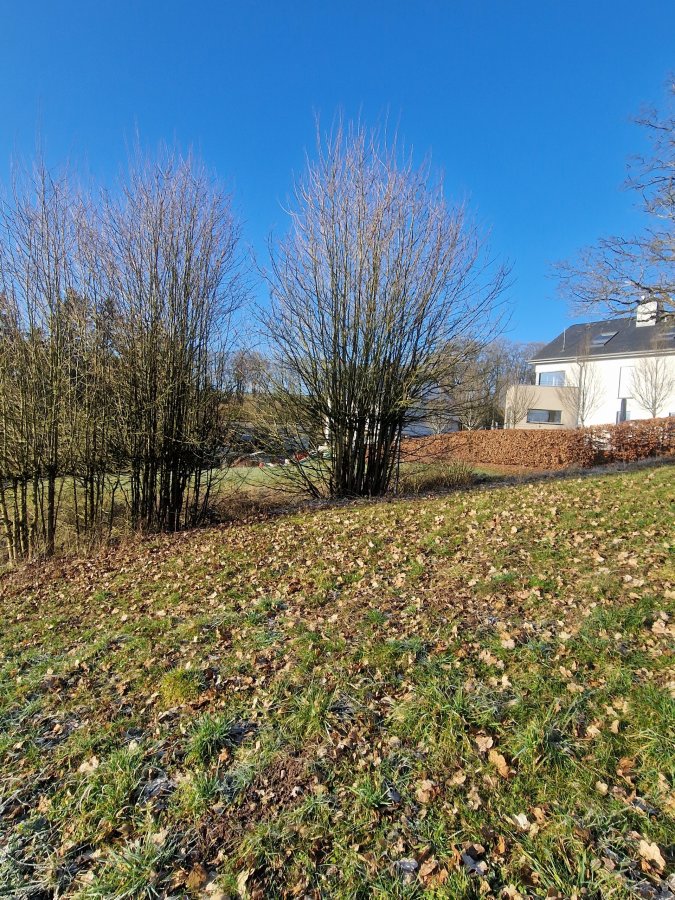 Terrain constructible