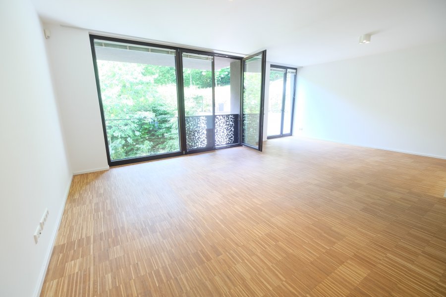 Duplex à louer 3 chambres à Luxembourg-Muhlenbach