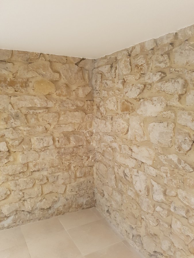 House to let 4 bedrooms in Luxembourg-Belair