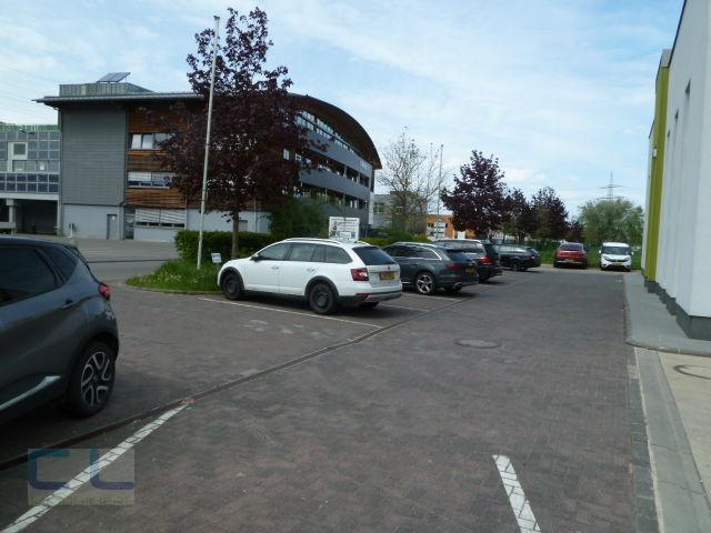 Warehouse to let in Steinsel