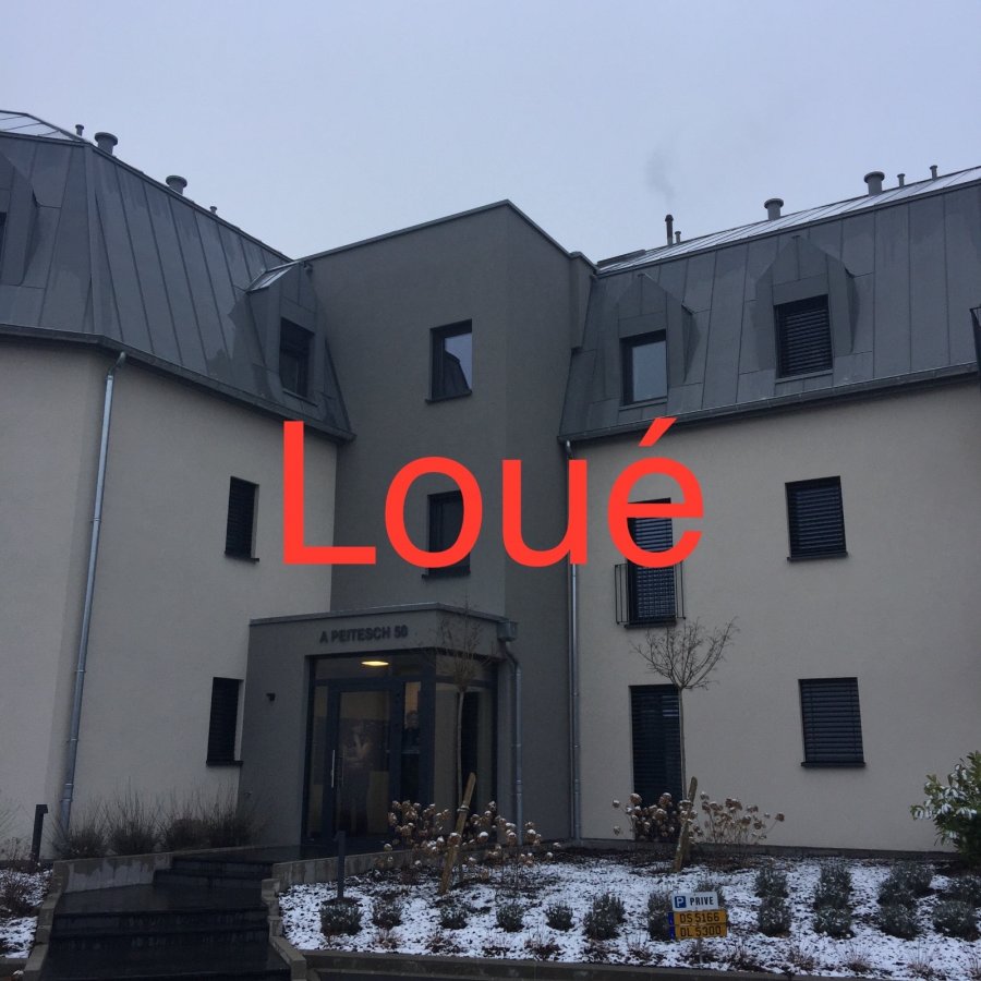 Appartement à louer 1 chambre à Lintgen