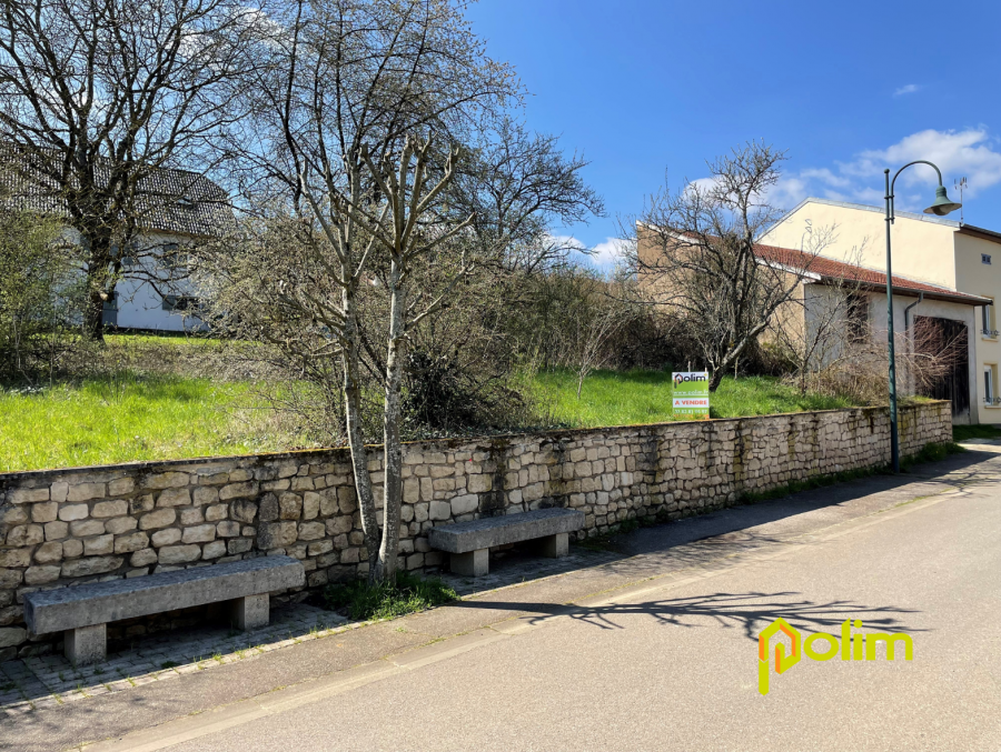 Terrain constructible