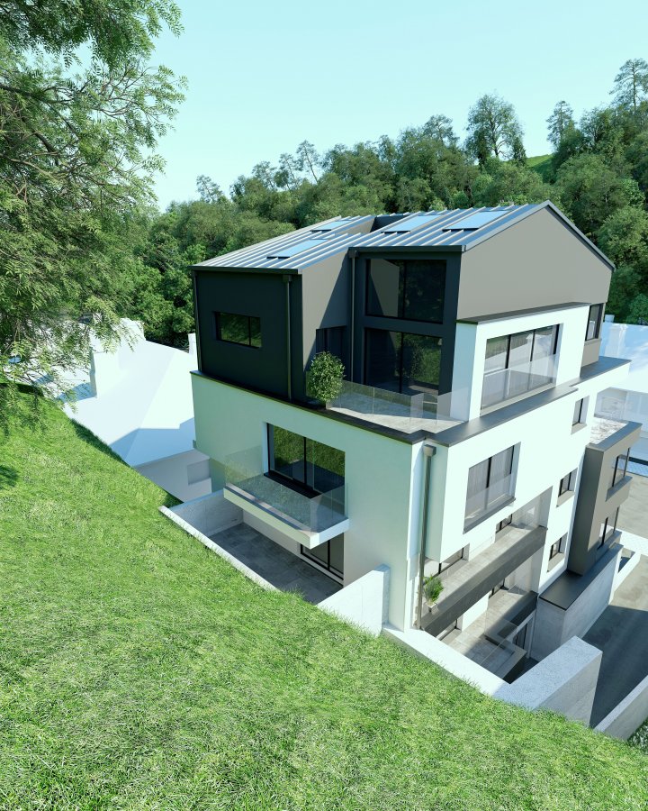 Duplex