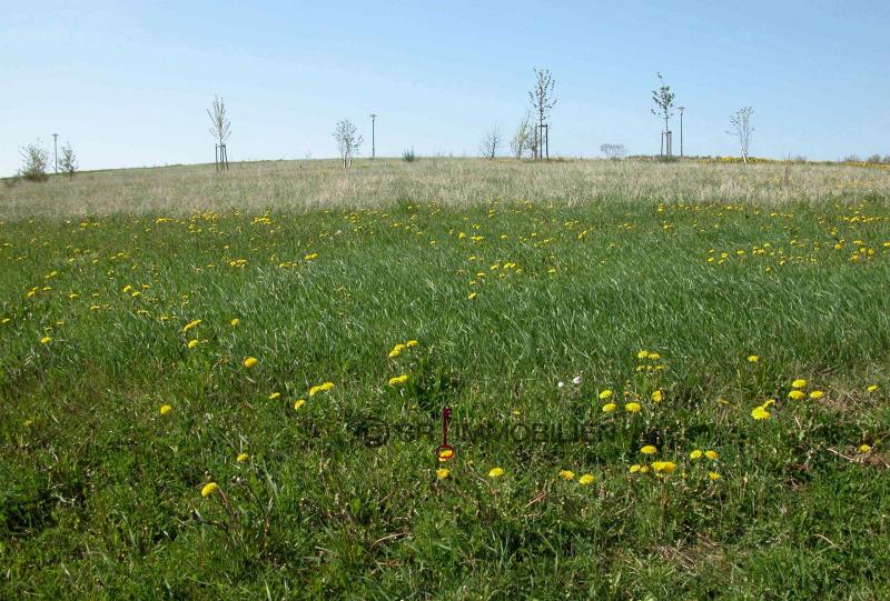 Terrain constructible