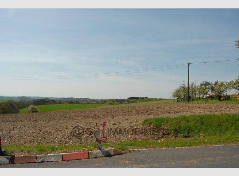 Terrain constructible à vendre à Altscheid (DE) - Réf. 6660934
